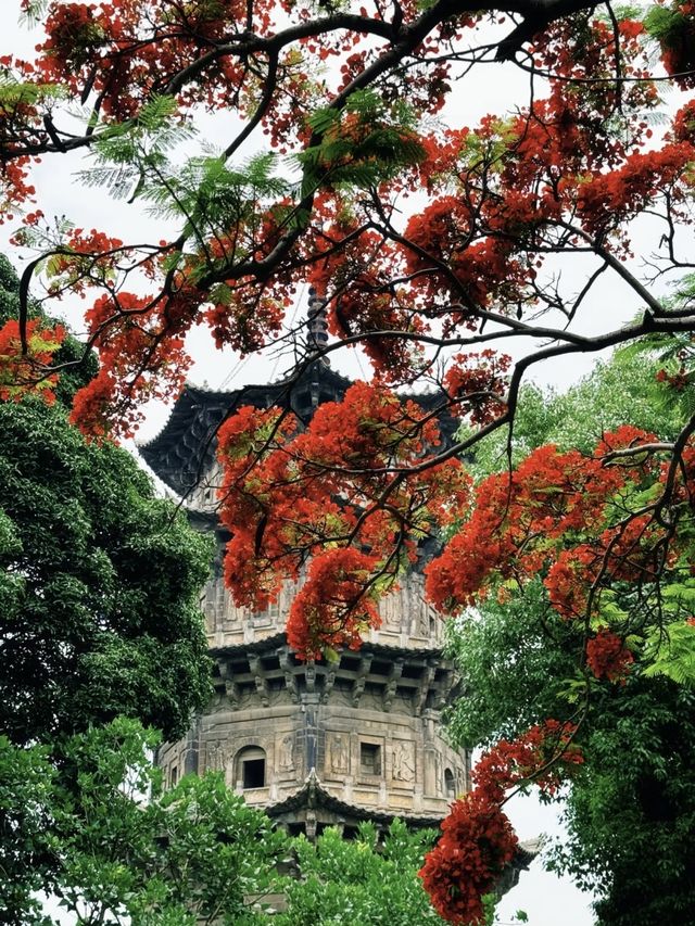 閩南三城精華遊：福廈泉三日打卡攻略