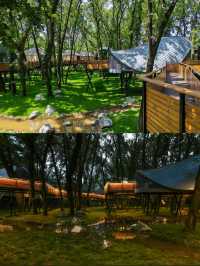 救命帶仔嚟現實版童話樹屋瞓住睇星空