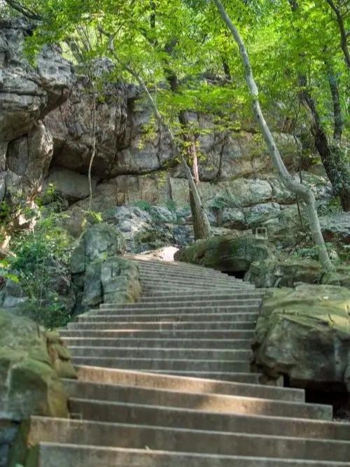 徒步虞山國家森林公園，解鎖自然與人文的雙重盛宴