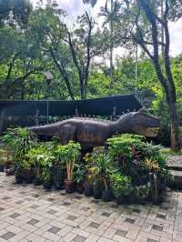 台北週邊🌿大板根森林溫泉渡假村探秘