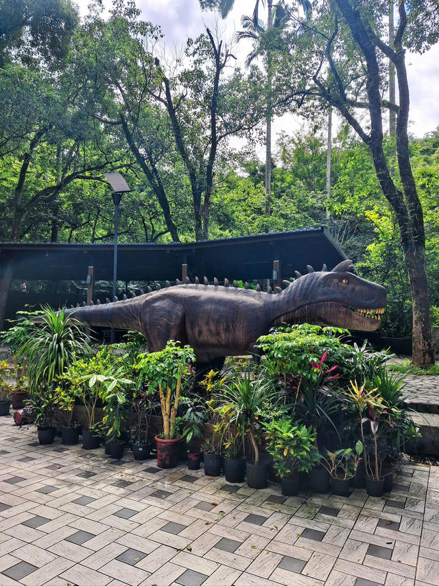 台北週邊🌿大板根森林溫泉渡假村探秘