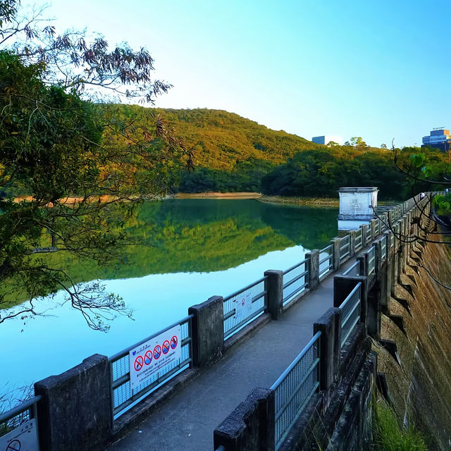 澳門跨境香港交通打卡｜港島徑畢拿山：抹茶蛋糕味的天空之城🍃