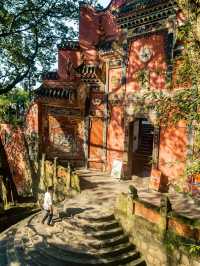🌸 SPRING SECRET: Chongqing’s "90% DOWNHILL" Flower Path (Zero Sweat Guaranteed!)