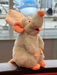 Experience the Magic of Disneyland Paris