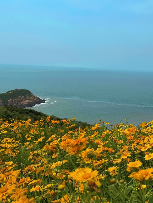 喺東極島，我同第一縷曙光私奔咗三日