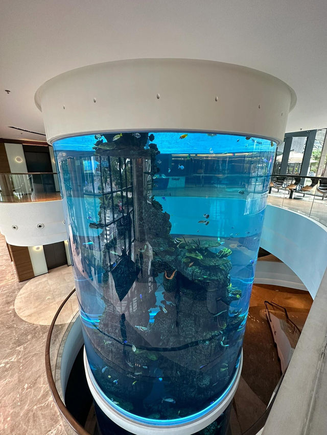✨【香港海洋公園萬豪｜全透明淋浴間+城中度假感！BUG價入住實測～】🌊