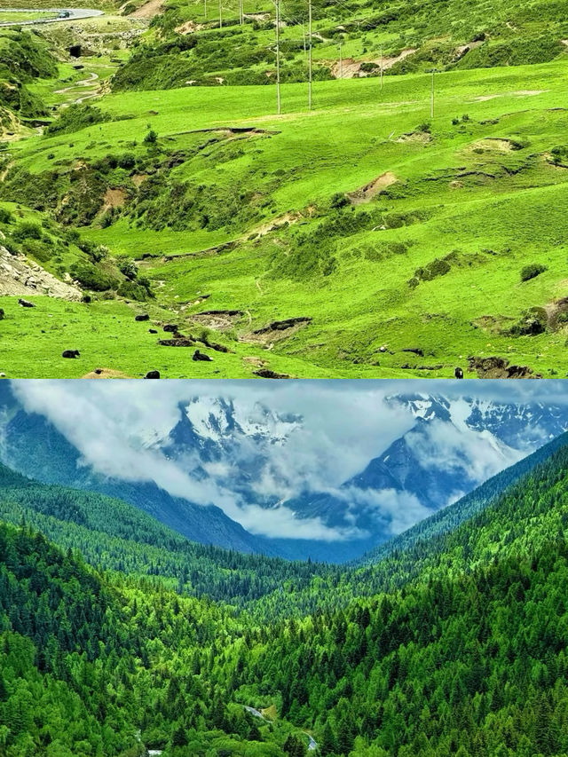 草原，係大地寫畀天空嘅長詩