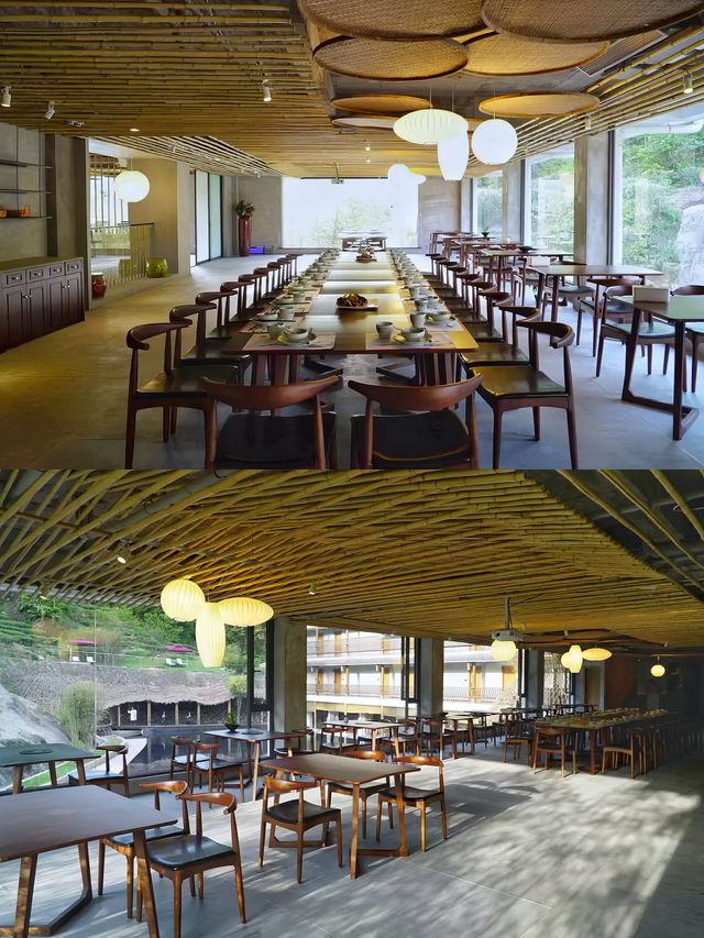 武夷山民宿｜竹林中的隱世山居陶然有山