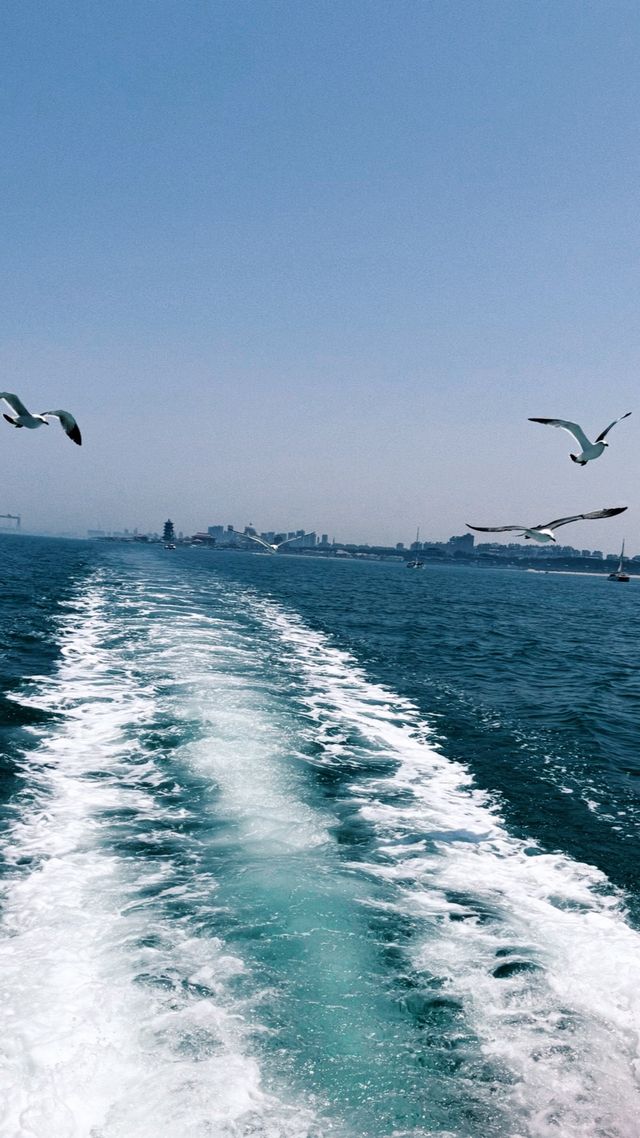 青島｜青島🩷