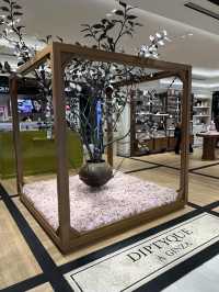 東京購物｜Diptyque銀座新店店驚喜探店💫