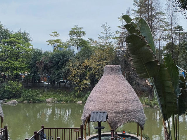 去咗3次美的鷺湖半山湯谷，終於玩到明晒。
