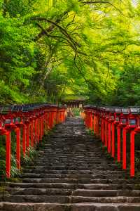 5 Hidden Kyoto Gems You Don't Want to Miss! 🌺
