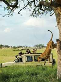 Tanzania Diaries: Where Wild Dreams Come True! 🌍✨