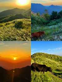 靖西烏鴉山 | 與老公共赴雲端之約，解鎖廣西秘境徒步新體驗