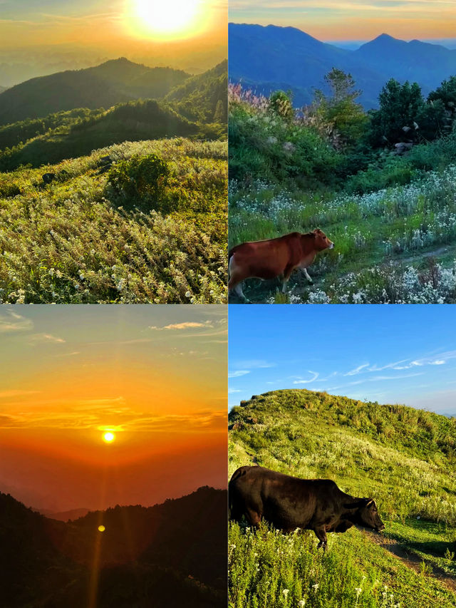 靖西烏鴉山 | 與老公共赴雲端之約，解鎖廣西秘境徒步新體驗