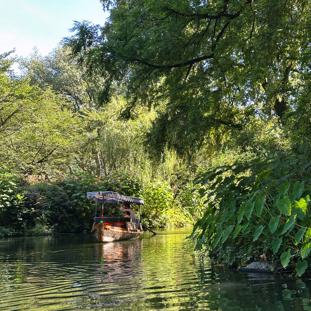 City Boat西湖手劃船攻略｜盛夏駛入濕地深處與野鴨棲息地