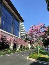 2025年珠海最正嘅酒店，冇得輸