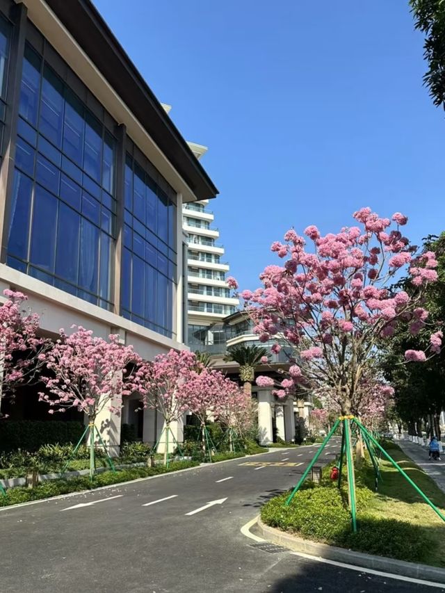 2025年珠海最正嘅酒店，冇得輸