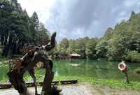 日月潭丨一眼就人間值得嘅美景