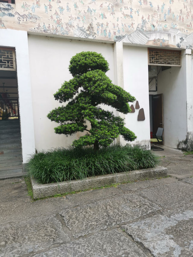 古村秘境尋蹤