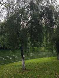 免費 | 中山岐江公園