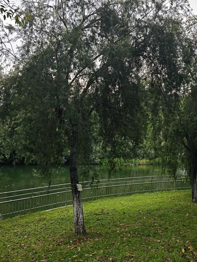 免費 | 中山岐江公園