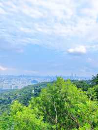 廣州登山必去摩星嶺綠肺徒步攻略