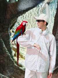 28℃避暑天堂！舟山長喬海洋館2日1夜全攻略