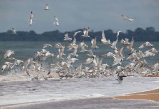 The Bijagós Archipelago Inscribed as a UNESCO World Heritage Site