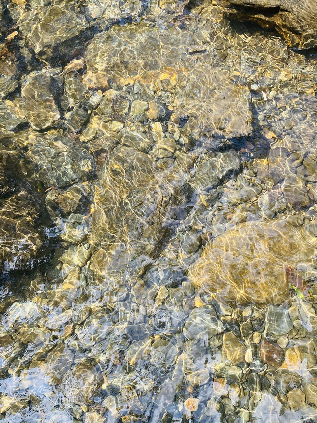 牯牛降玩水，返嚟又想再去（附懶人版路線）