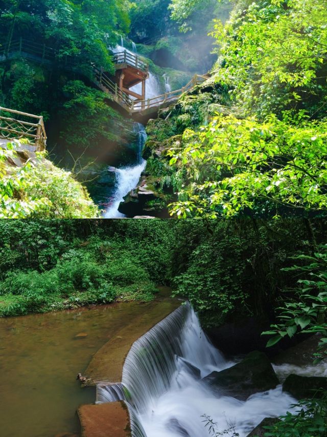 雅安碧峰峽已回，亂讀中。。。。。