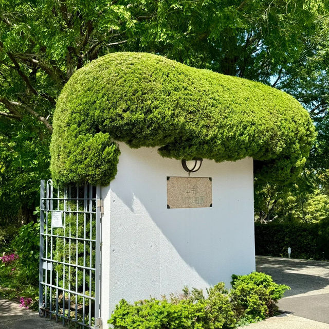 【橫濱隱藏路線！復古洋館+森林綠地一日歎夠！】