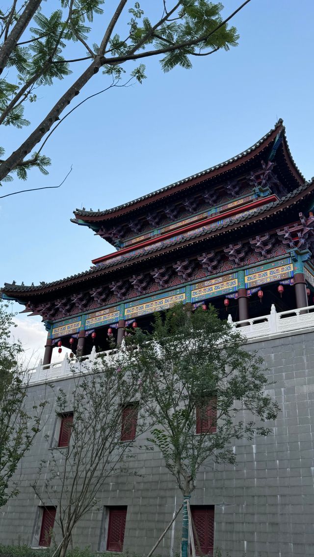 南充兩日遊攻略