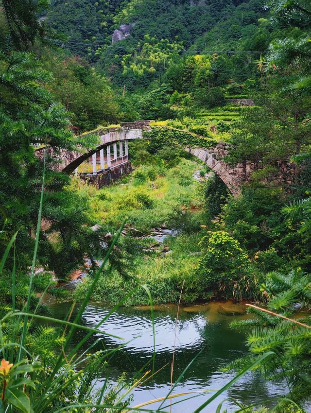 石樑溯溪—自然嘅野，野得自然