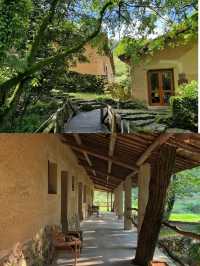 西坡！江山住進雲海梯田嘅治癒老家