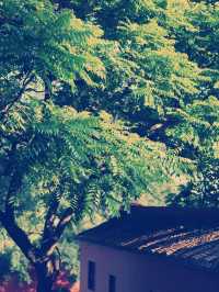 探秘廈門梵天寺：千年古剎的靜谧禪意】**  