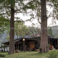 良渚｜隱藏於古樹深處，住進山系美學民宿