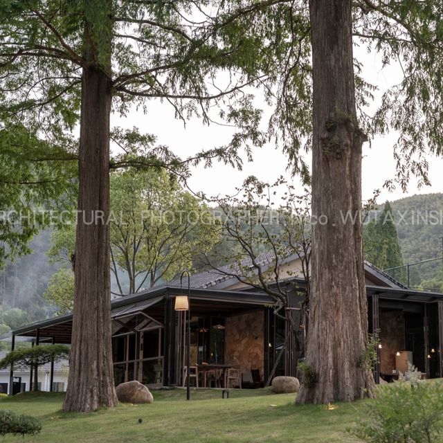 良渚｜隱藏於古樹深處，住進山系美學民宿
