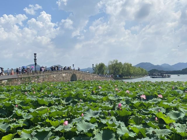 西湖