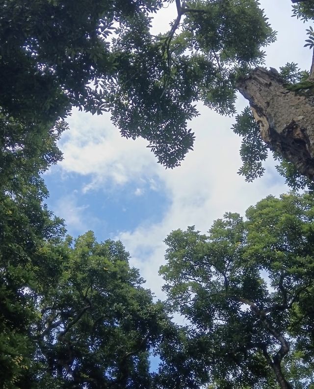 廣州現代風情打卡指南