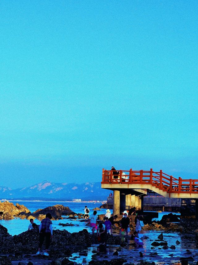 【煙台養馬島】喺碧海藍天下，邂逅一場詩意嘅海島夢
