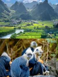 明仕田園已回，真係人間理想。