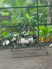 A Memorable Family Holiday at JA Manafaru