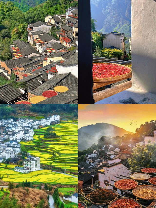 婺源篁嶺3天2夜保姆級攻略｜半山腰藏了整個秋天的童話