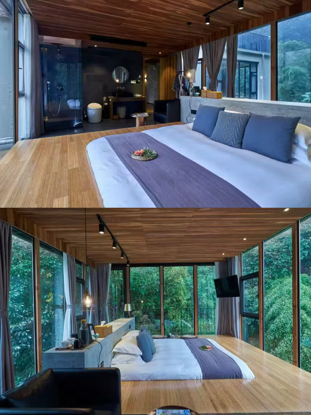 邊個識貨呀!喺莫干山住到270°竹海玻璃屋 瞓住睇竹影搖曳咗成個下晝 邊個識貨呀!喺莫干山住到270°竹海玻璃屋 瞓住睇竹影搖曳咗成個下晝
