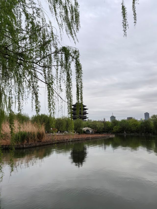 春遊大明湖全指南 春遊大明湖全指南