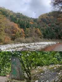 唐家河遊玩寶典:清涼、野趣、親子遊一網打盡!