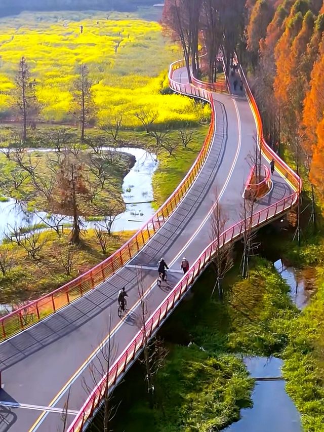昆明滇池綠道：漫步湖光山色間的生態之旅