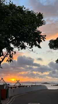 初衷不過是短暫落腳，卻誤入粉紅城堡，被滿院夕陽擁了個滿懷