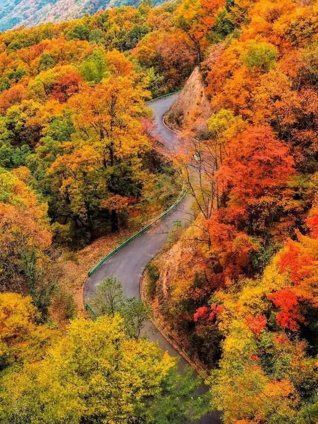 光霧山：秋日限定·中國紅葉第一山的奇幻之旅
